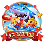佩杜拉：罗马求购维罗纳后卫吉拉迪，预计转会费1000万至1100万欧